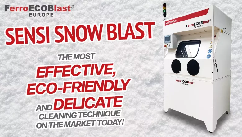 <h2>Presenting <span style="color: rgb(196, 22, 28);"><strong>Sensi Snow Blast!</strong></span></h2> 